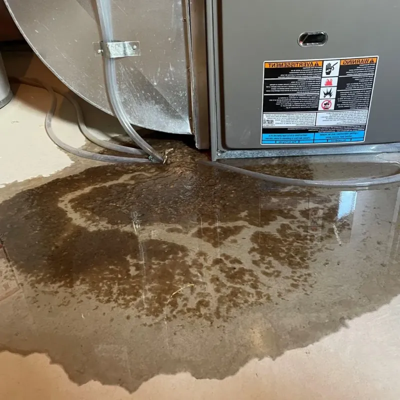Pipe Burst and Leak Restoration in Whitefish Bay, WI
